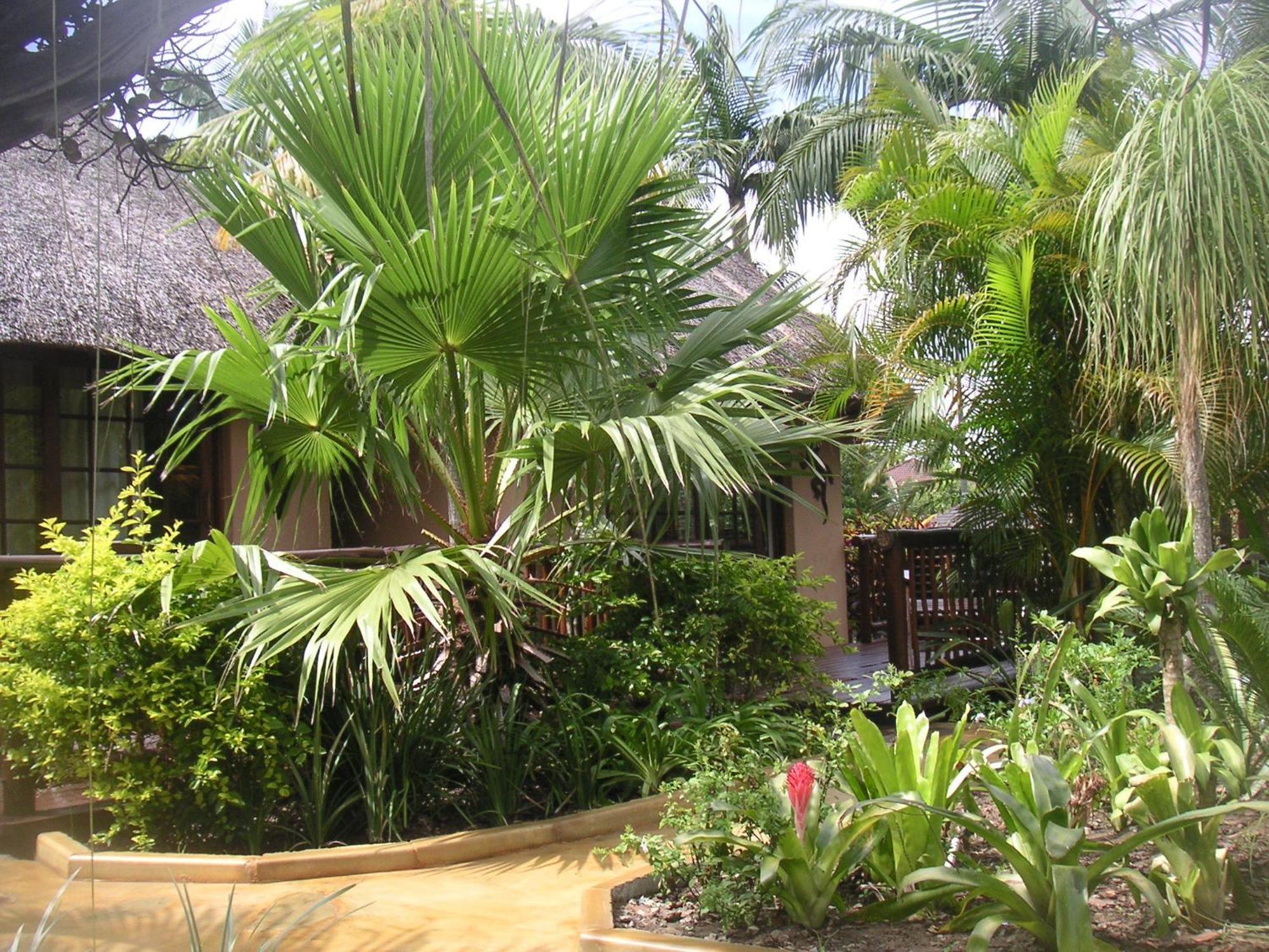 Afrikhaya Guest House Saint Lucia Estuary Buitenkant foto